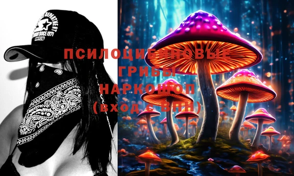PSILOCYBIN Алзамай