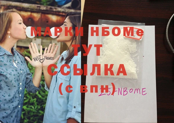 PSILOCYBIN Алзамай