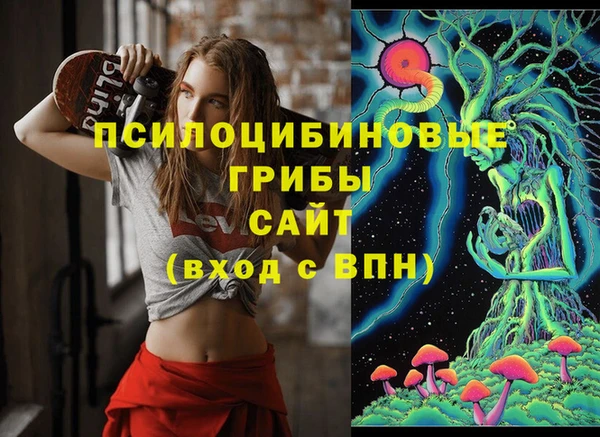 меф Алексин