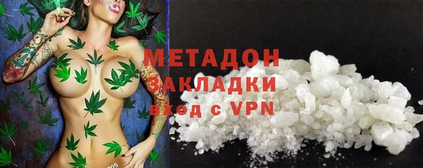 PSILOCYBIN Алзамай