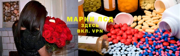 PSILOCYBIN Алзамай