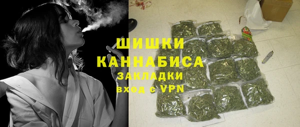 PSILOCYBIN Алзамай